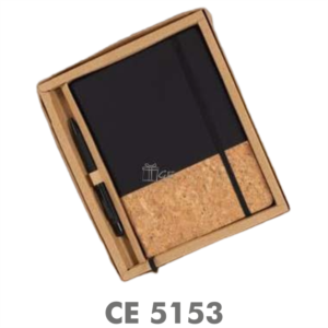 CE 5153